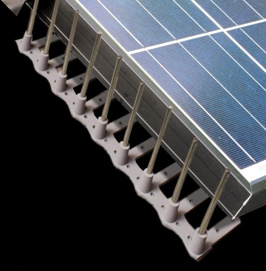 Solar Panel Bird-Proofing: Protecting Your PV System from Pigeons