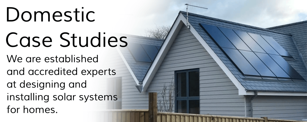 Domestic Case Studies