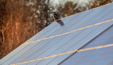 Solar Panel Myths and Misconceptions Debunked