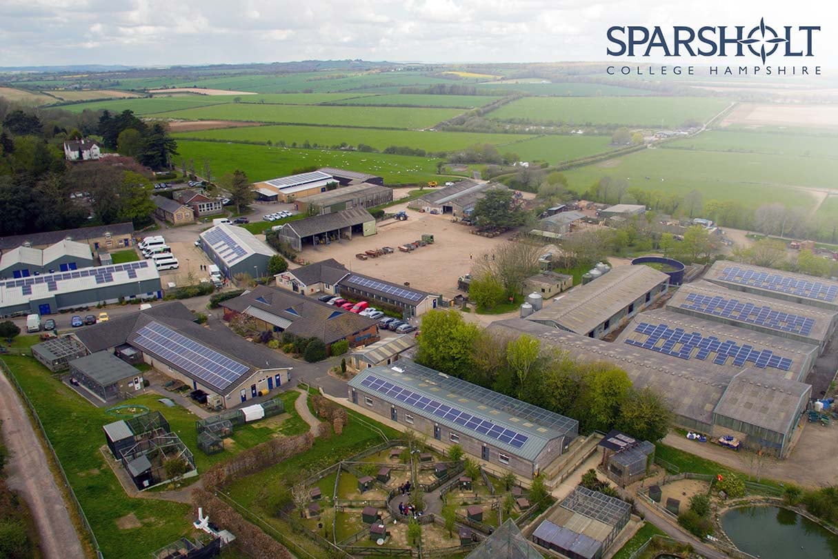 Sparshot College 3x2 - Spirit Energy